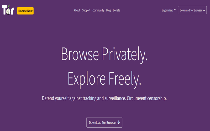 Tor Onion Services Illustration