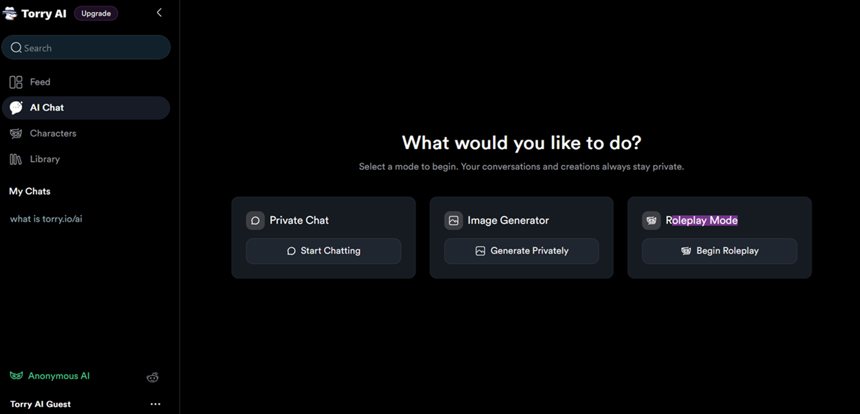 Tor Torry AI privacy-focused artificial intelligence platform